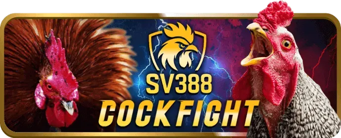 Chương trình VIP tin888